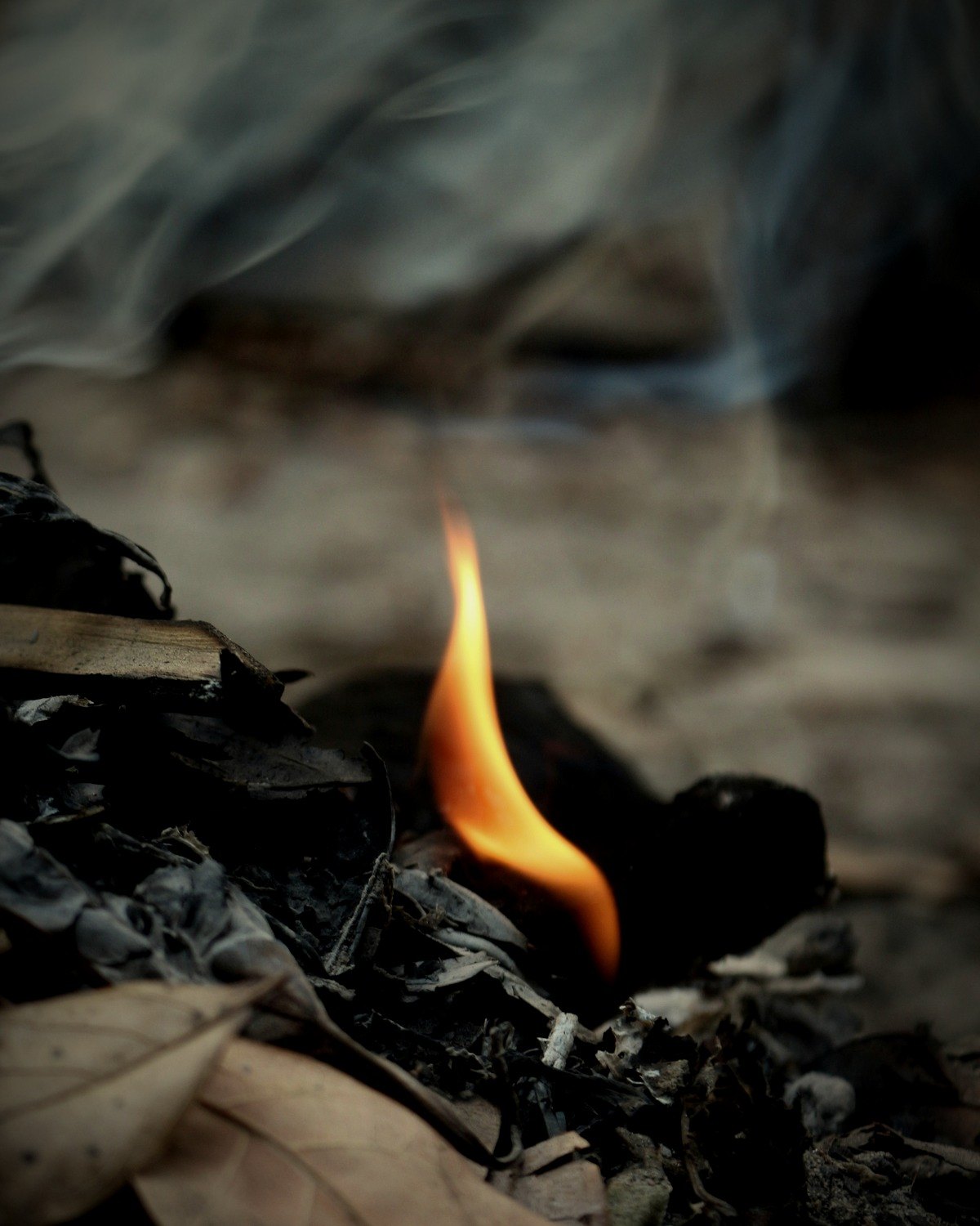 Dry leaves smouldering; the smoke that blackens the clay